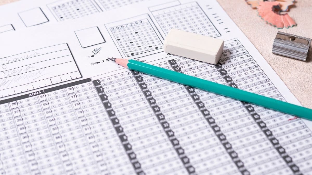 JEE Mains 2025 Paper 2 Answer Key LIVE: NTA final answer key PDF at jeemain.nta.nic.in soon; BArch result date